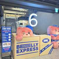 韓國bellygom打卡位！