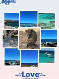 西澳的Rottnest Island：水清沙幼沙灘與微笑袋鼠的天堂！🏝️🌊🦘