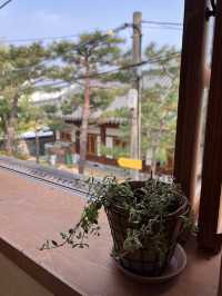 韓国【水原】Wooded Coffee