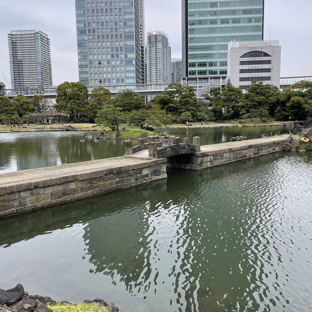 都会のオアシス！旧芝離宮恩賜庭園