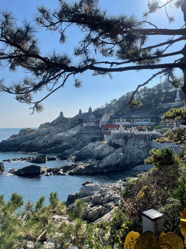 바다에서 가장 가까운 사찰 부산에 있어요 🌊해동용궁사💛