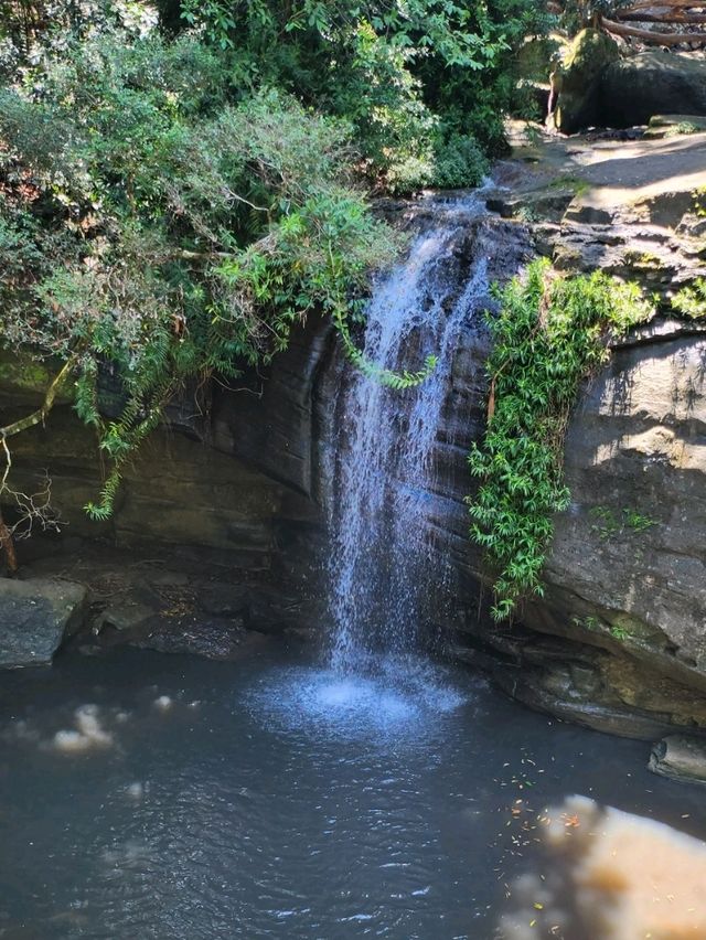 Hidden Gem in Queensland, Australia 🇦🇺