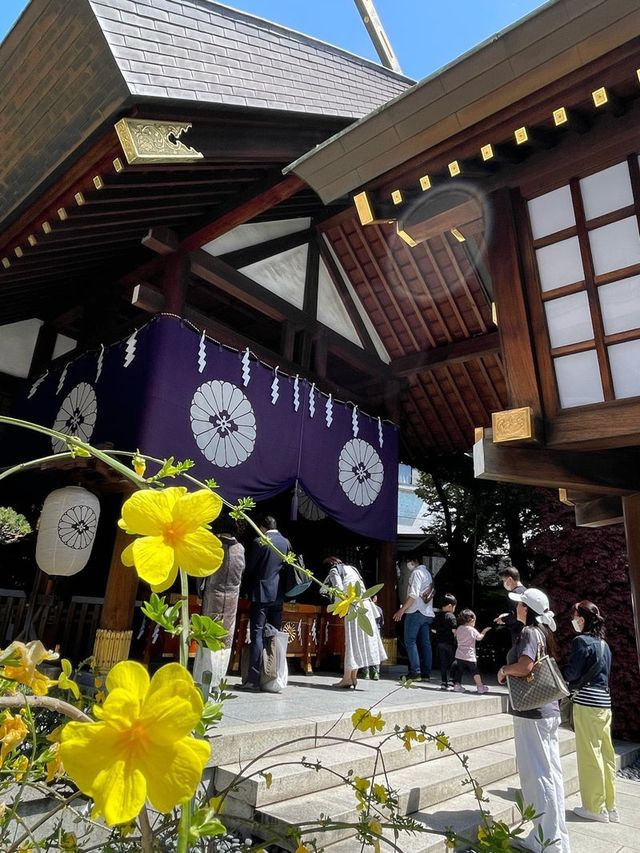【東京都/東京大神宮】2023年行ってよかった！東京都の神社③