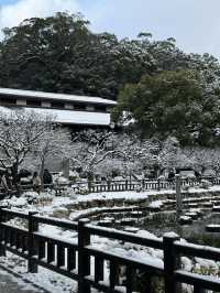 눈세상이었던 다자이후 텐만구❄️