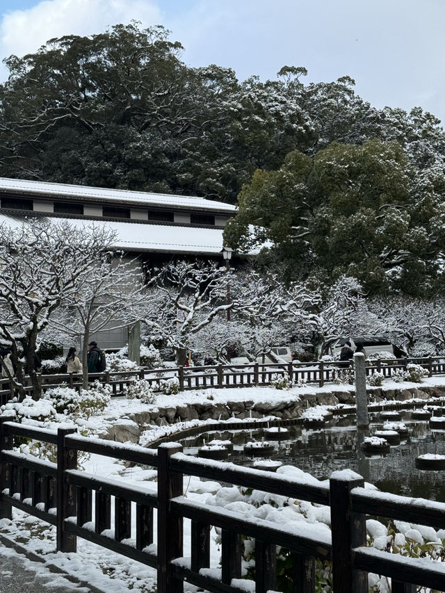눈세상이었던 다자이후 텐만구❄️