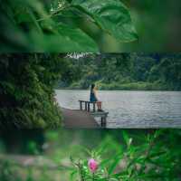 🚶🏻 MacRitchie Nature Trail 🌳 🇸🇬