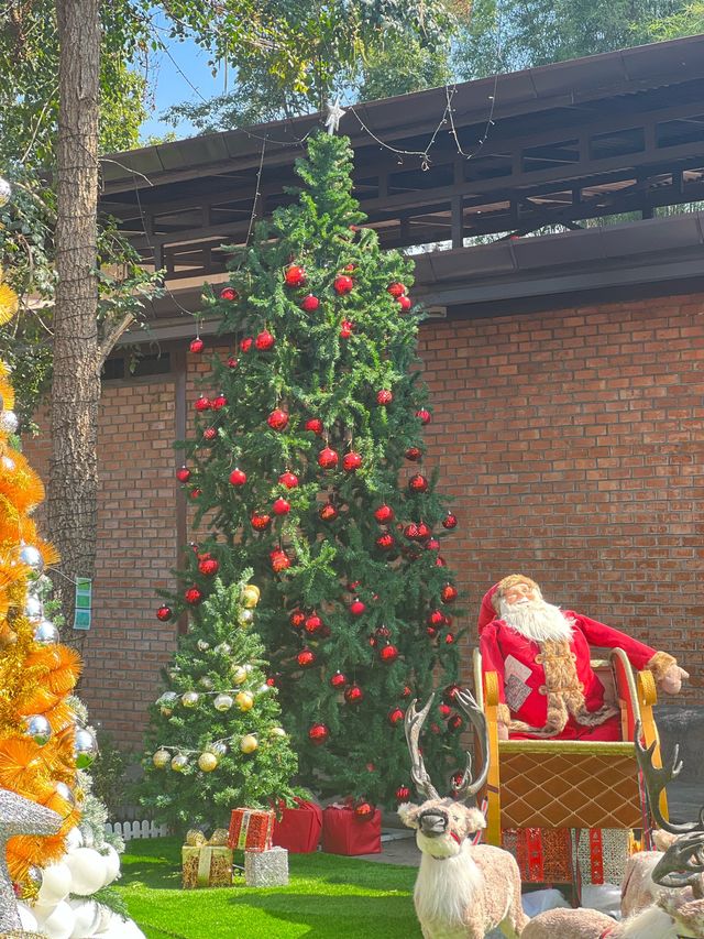 🎄คริสมาสต์นี้พามากินอาหารที่ แกรนแคนยอนน 😍