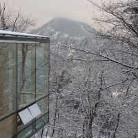 Discover a tranquil haven in a snow