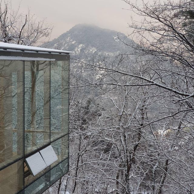 Discover a tranquil haven in a snow