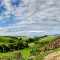 Taupō Tranquility: Road Trip Reverie