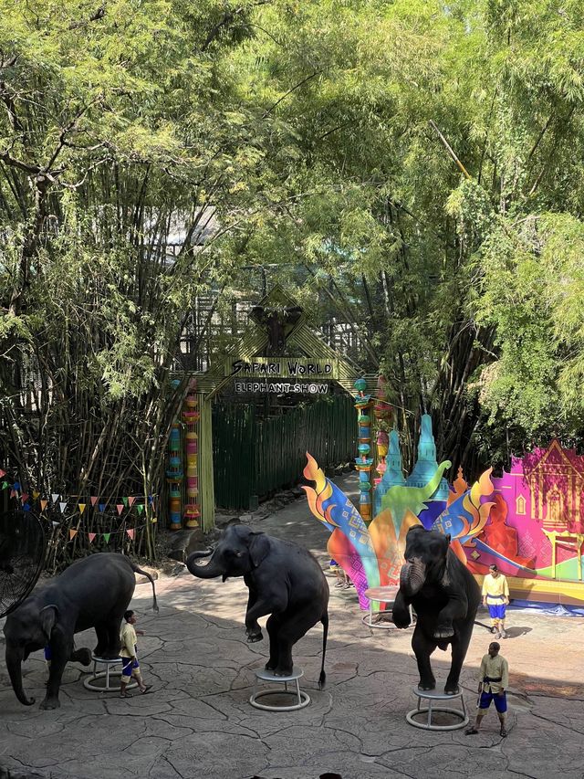 Safari World
