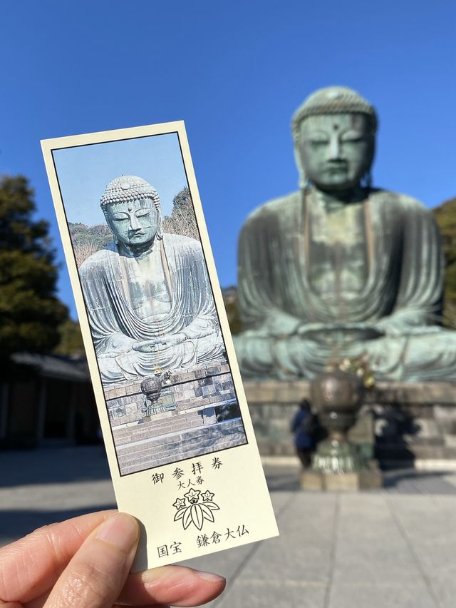 絶対行くべき鎌倉の大仏様