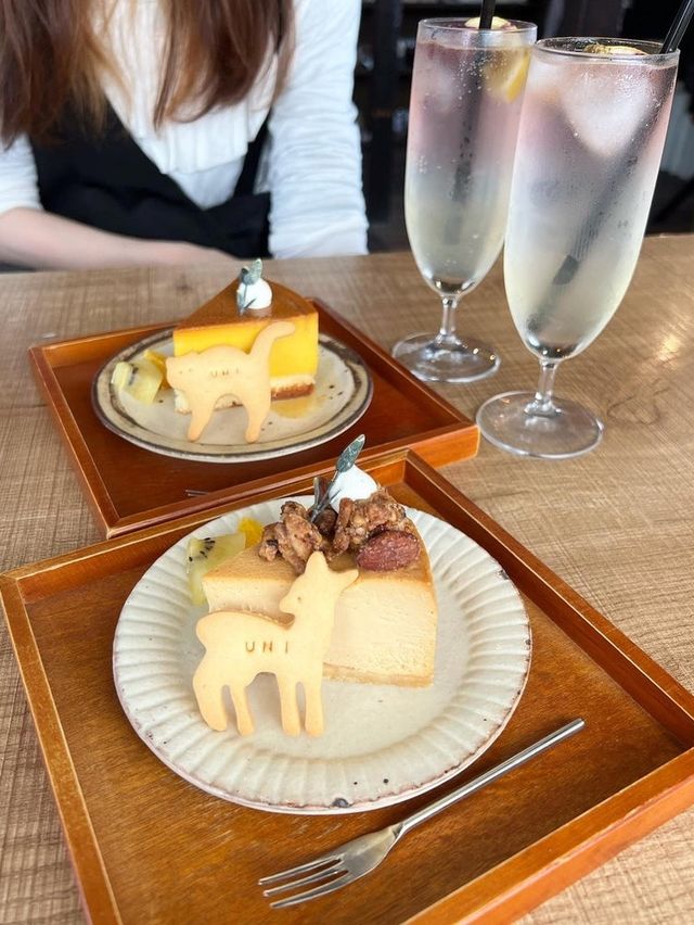 【福岡カフェ】クッキーもケーキも可愛すぎる久留米の人気カフェ