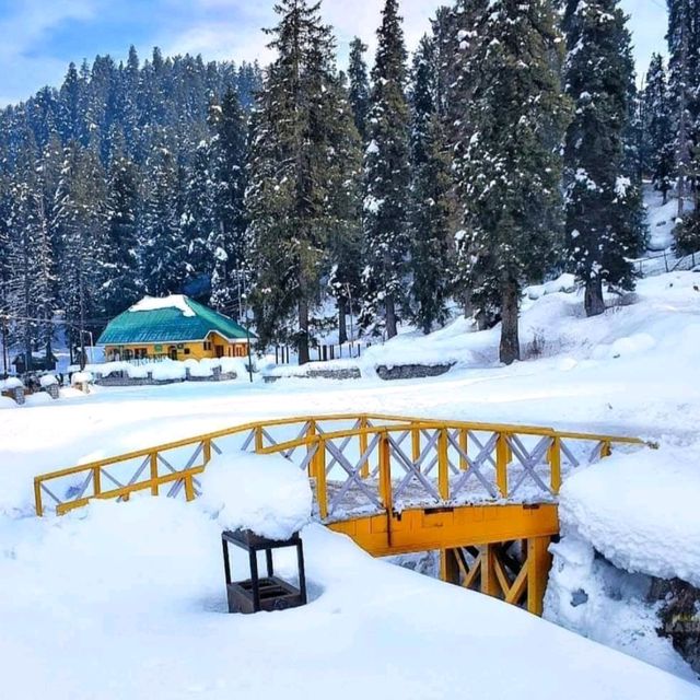 Gulmarg Kashmir 