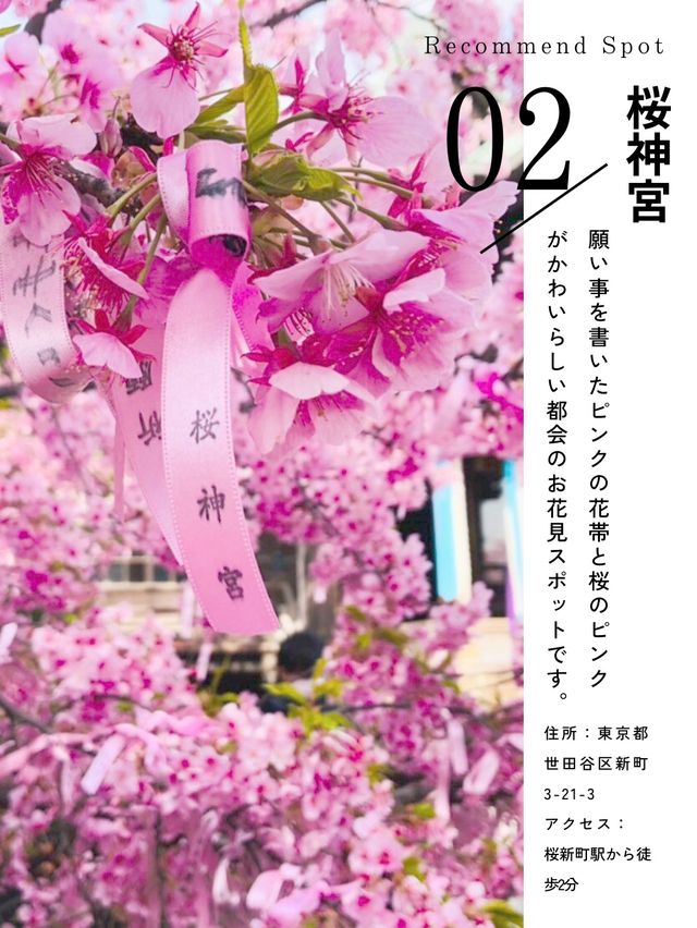 2月に見られる 早咲き桜スポット5選