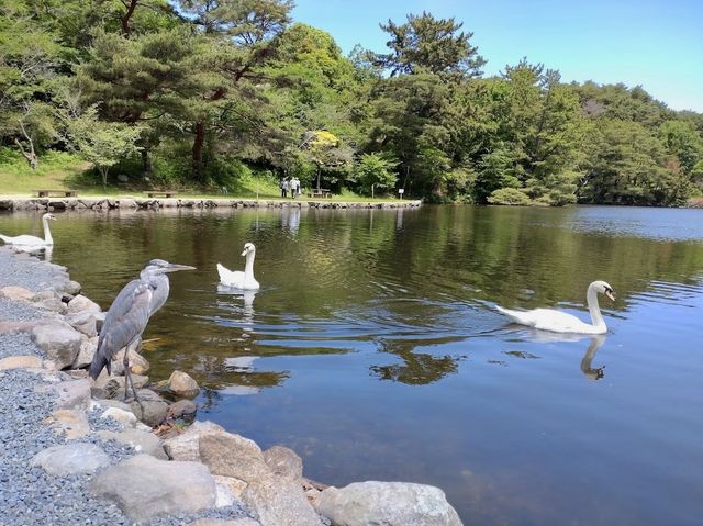 Miyama Park