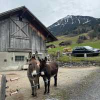 🇨🇭 Half Day Trip in Lungern-The Fairy Town