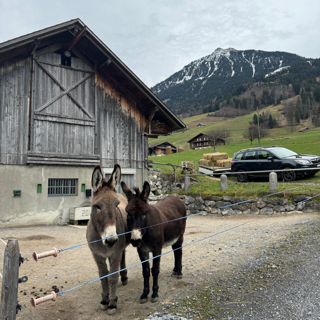 🇨🇭 Half Day Trip in Lungern-The Fairy Town