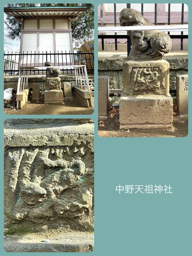 【中野天祖神社/東京都】大きな木がたくさん並ぶ神社