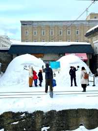 Otaru Romankan's Cultural Charm