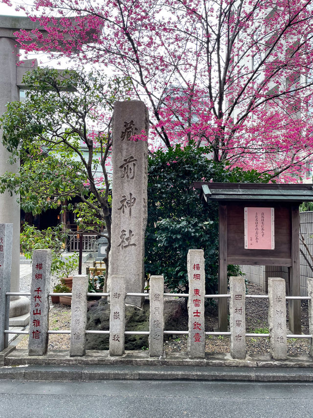 【東京】蔵前神社の早咲き桜とミモザの絶景コラボ