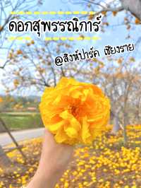 ถ่ายรูปกับดอกสุพรรณิการ์ @สิงห์ปาร์ค เชียงราย