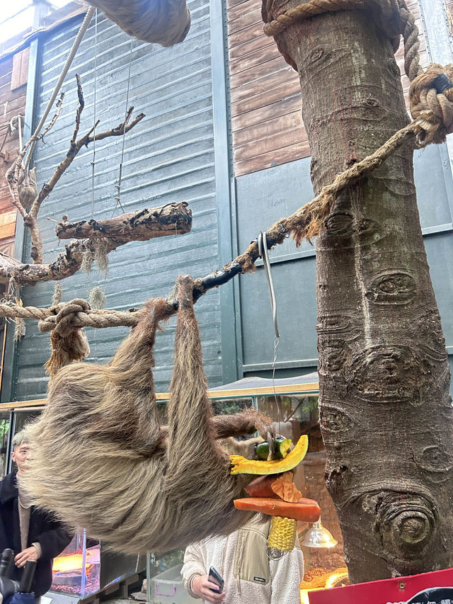 ［新竹/北埔］綠世界生態農場🦩｜超多動物可以近距離觀察 連植物都很多樣