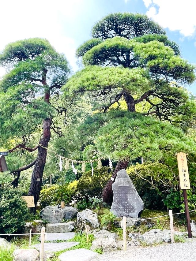 【寶登山神社/埼玉県】秩父三社の一社・鮮やかで華やかな社殿
