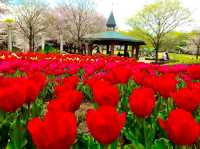 Fukaya Green Park