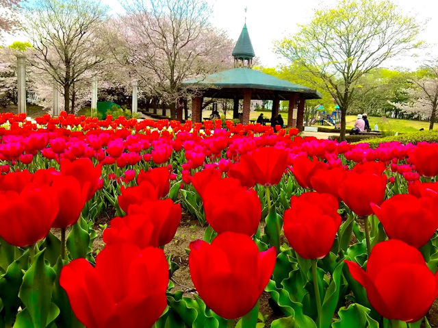 Fukaya Green Park