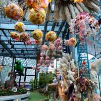 Flower fairy tale in Singapore 