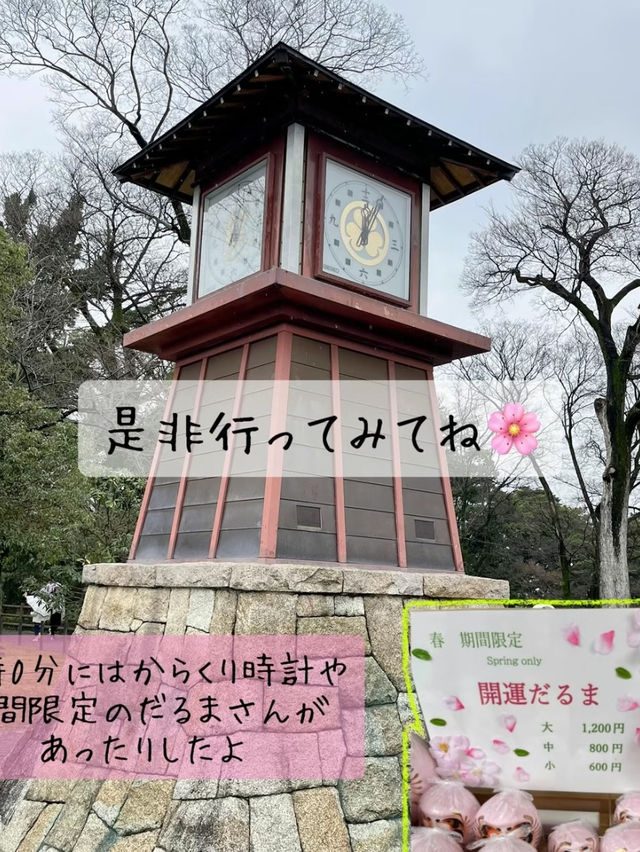 [無料]800本の桜🌸　　　　　　　　　　　　　　　　只今、桜祭り開催中