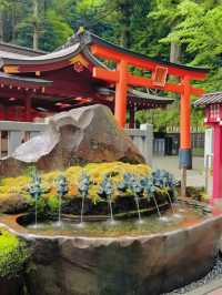 【箱根】絶対に行きたい!!辰年にピッタリな最強神社!!