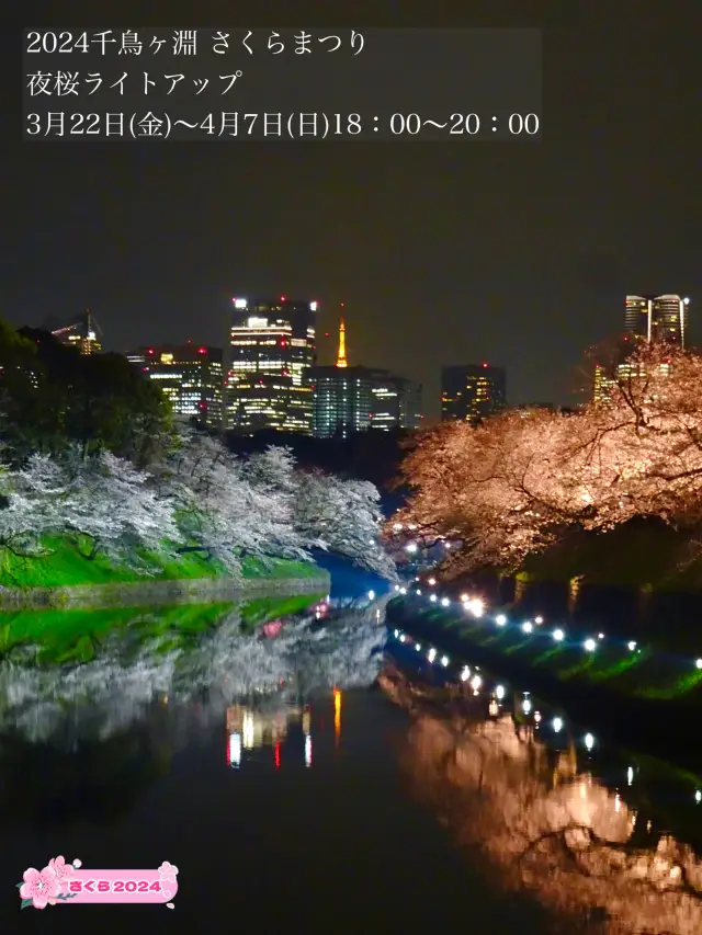 【千鳥ヶ淵/東京都】さくらまつり夜桜ライトアップ