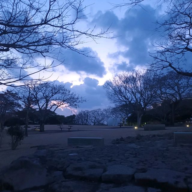 Changing colours of the evening sky