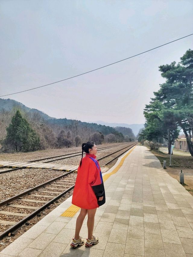 원주 벚꽃명소 반곡역🌸