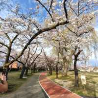 福島開成山公園：福島境內四座寶可夢公園之一，吉利蛋公園