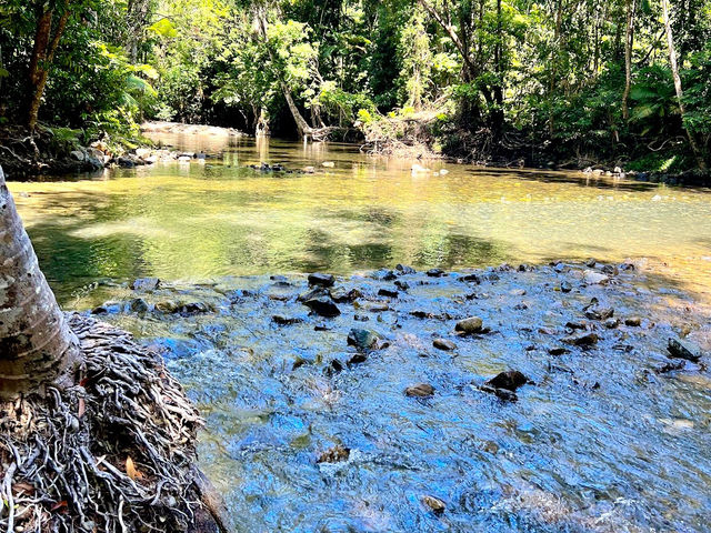 Daintree National Park