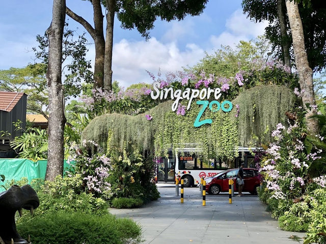 Enormous Zoo in Singapore