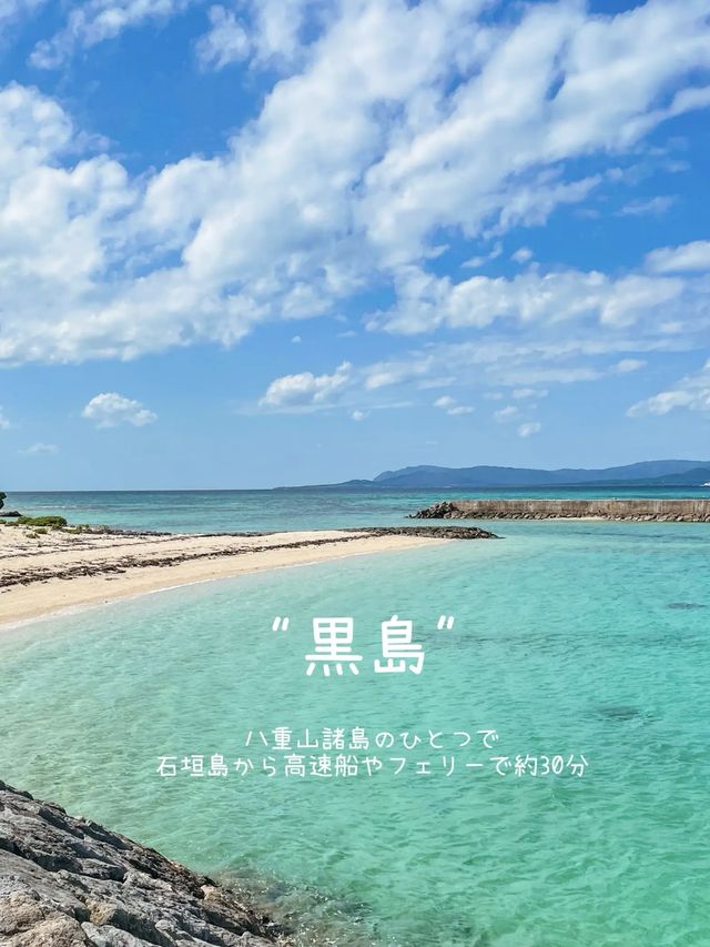 【黒島】石垣島から日帰りでも行けるのどかな島