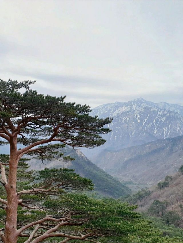 설악산 울산바위 & 흔들바위 