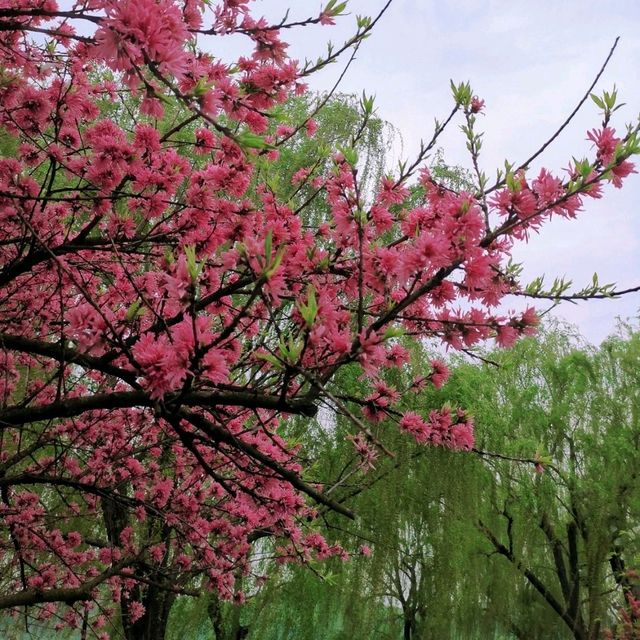 West Lake (Xihu) หางโจว ประเทศจีน
