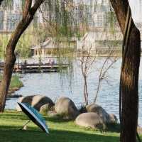 「冬山河親水公園」自然綠洲
