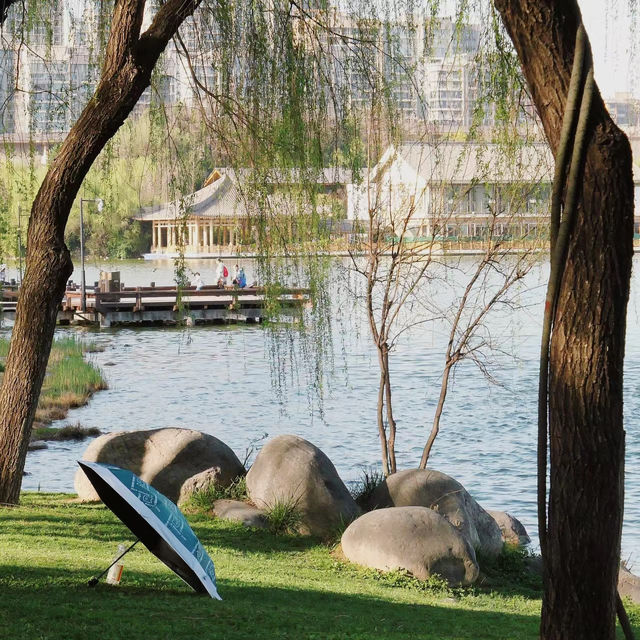 「冬山河親水公園」自然綠洲
