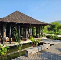พาน้องหมานอนคีรีมายา เขาใหญ่ ดีมาก