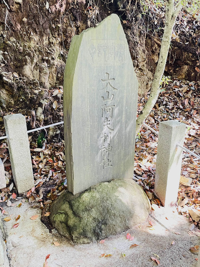 【大山阿夫利神社/栃木県】足利の大山講による信仰深き神社