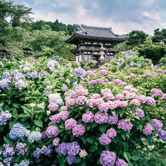 【福岡景點】星之花公園～漫步賞景