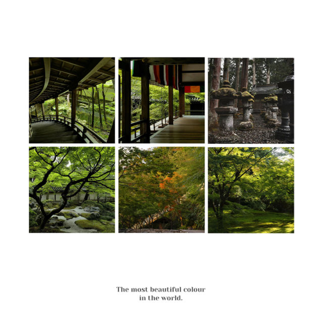 篠憟恩山寺:古色古香 篠憟恩山寺:古色古香