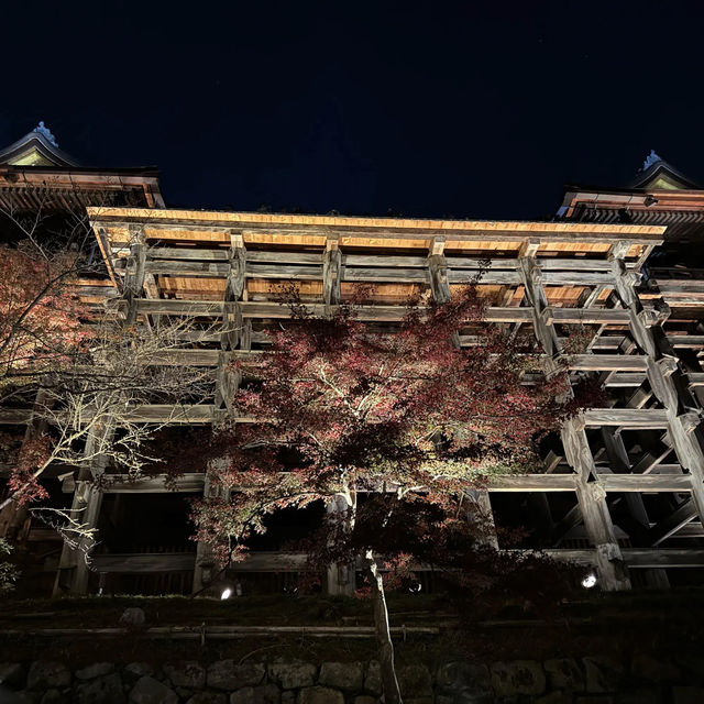 kiyomizu dera illumination 🏮🍁