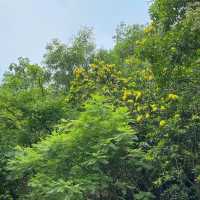 役政公園～綠洲中的湖光山色～寧靜放鬆